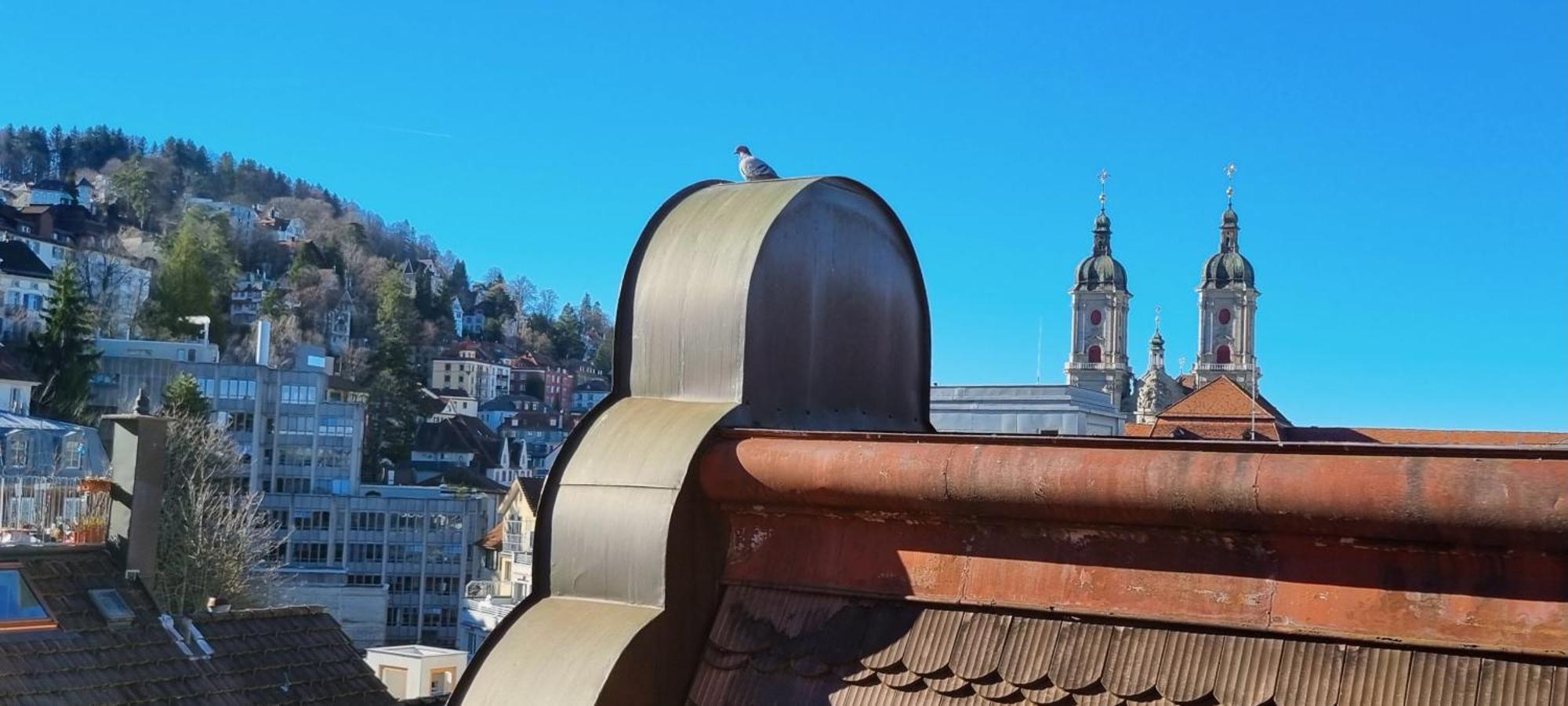 Ruhige, Neue Dachwohnung An Altstadt, Naehe Messe St. Gallen Kültér fotó